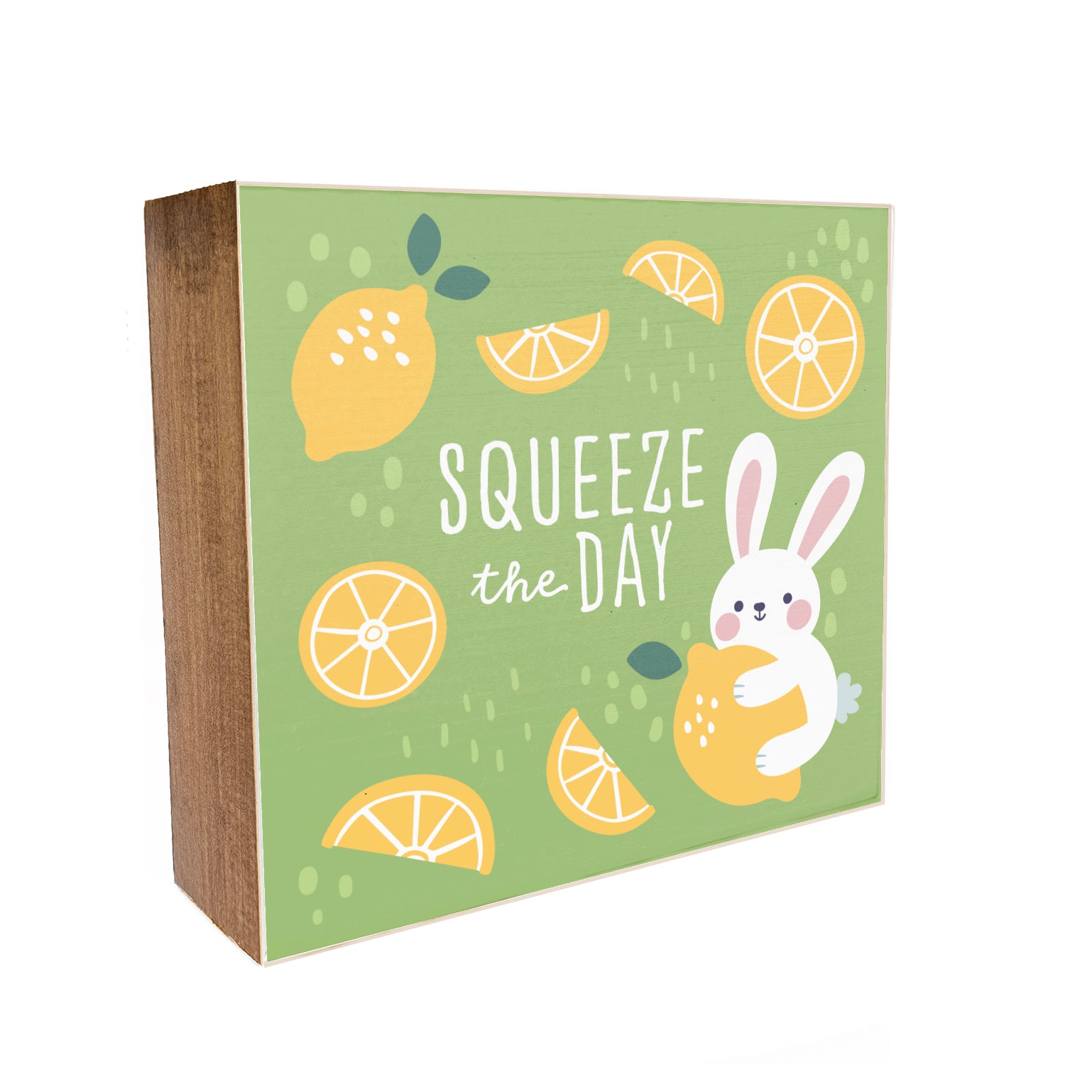 Squeeze the Day Kids Decorative Wooden Block