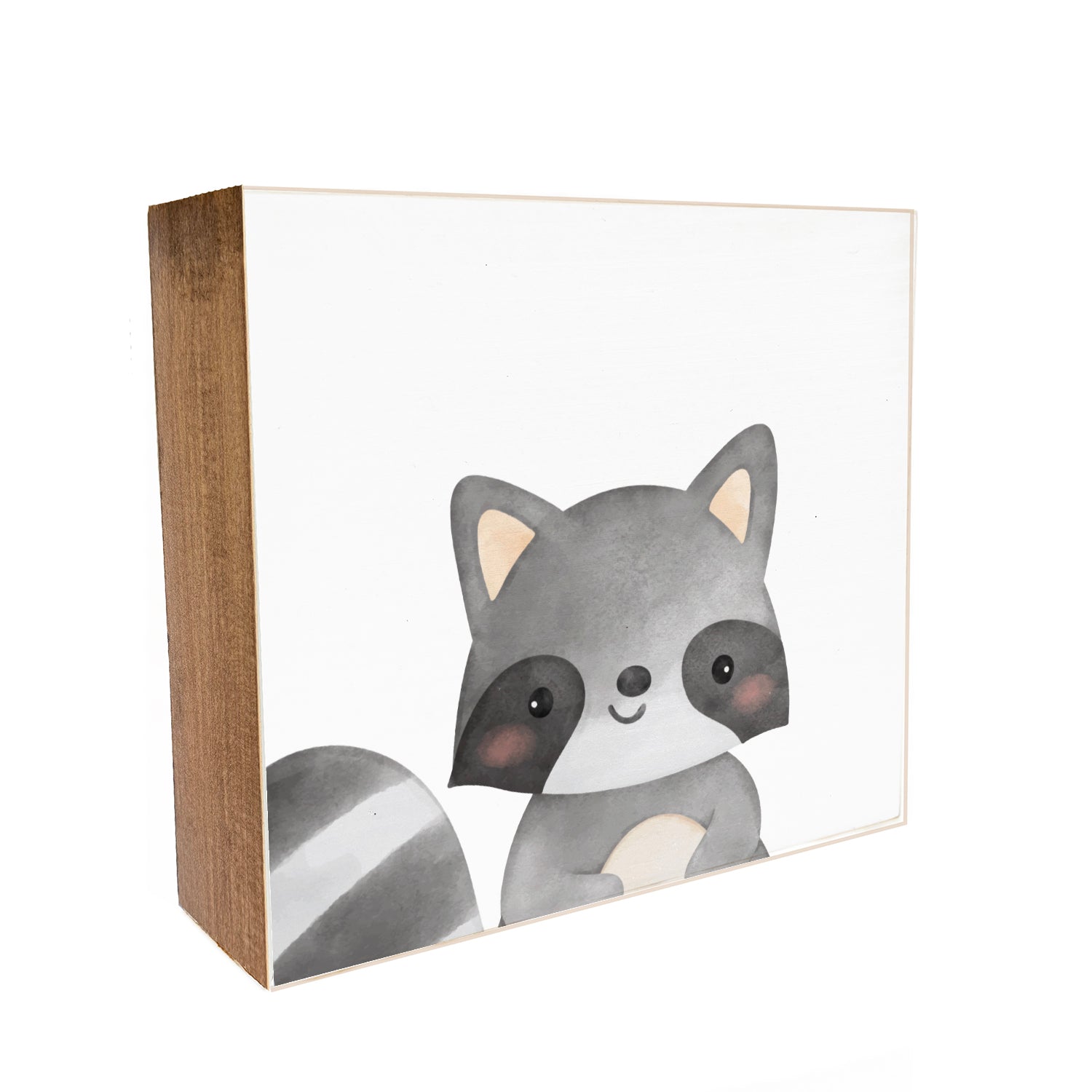Racoon Kids Decorative Wooden Block