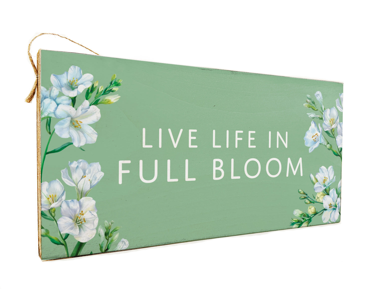 Live Life in Full Bloom Wooden Door Hang