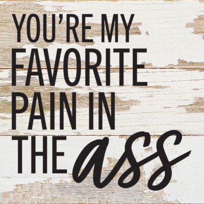 You're my favorite pain in the ass / 6x6 Reclaimed Wood Wall Decor