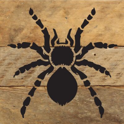 Spider Halloween / 6x6 Reclaimed Wood Sign
