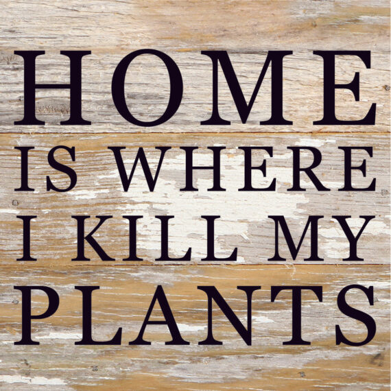 Home Is Where I Kill My Plants / 6X6 Reclaimed Wood Sign