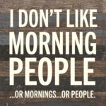 I don't like morning people ...or  mornings... or people / 10x10 Reclaimed Wood Wall Decor