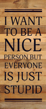 I want to be a nice person but everyone is just stupid / 6x14 Reclaimed Wood Sign