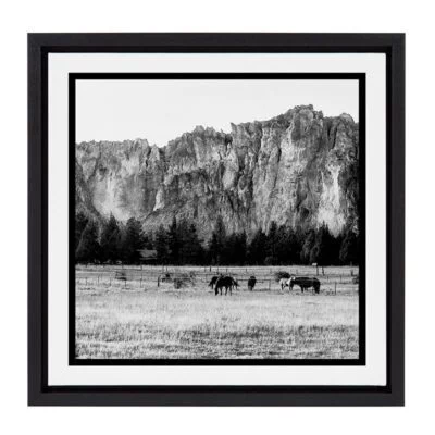 Out West / 14x14 Framed Canvas Wall Decor