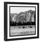 Out West / 14x14 Framed Canvas Wall Decor