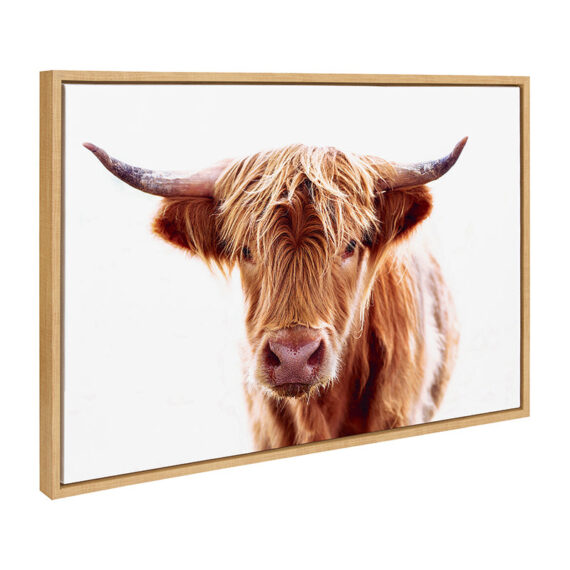 Highland Cow / 33x23 Framed Canvas Wall Decor