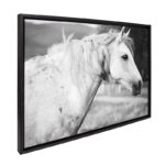 Black and White Horse / 33x23 Framed Canvas Wall Decor