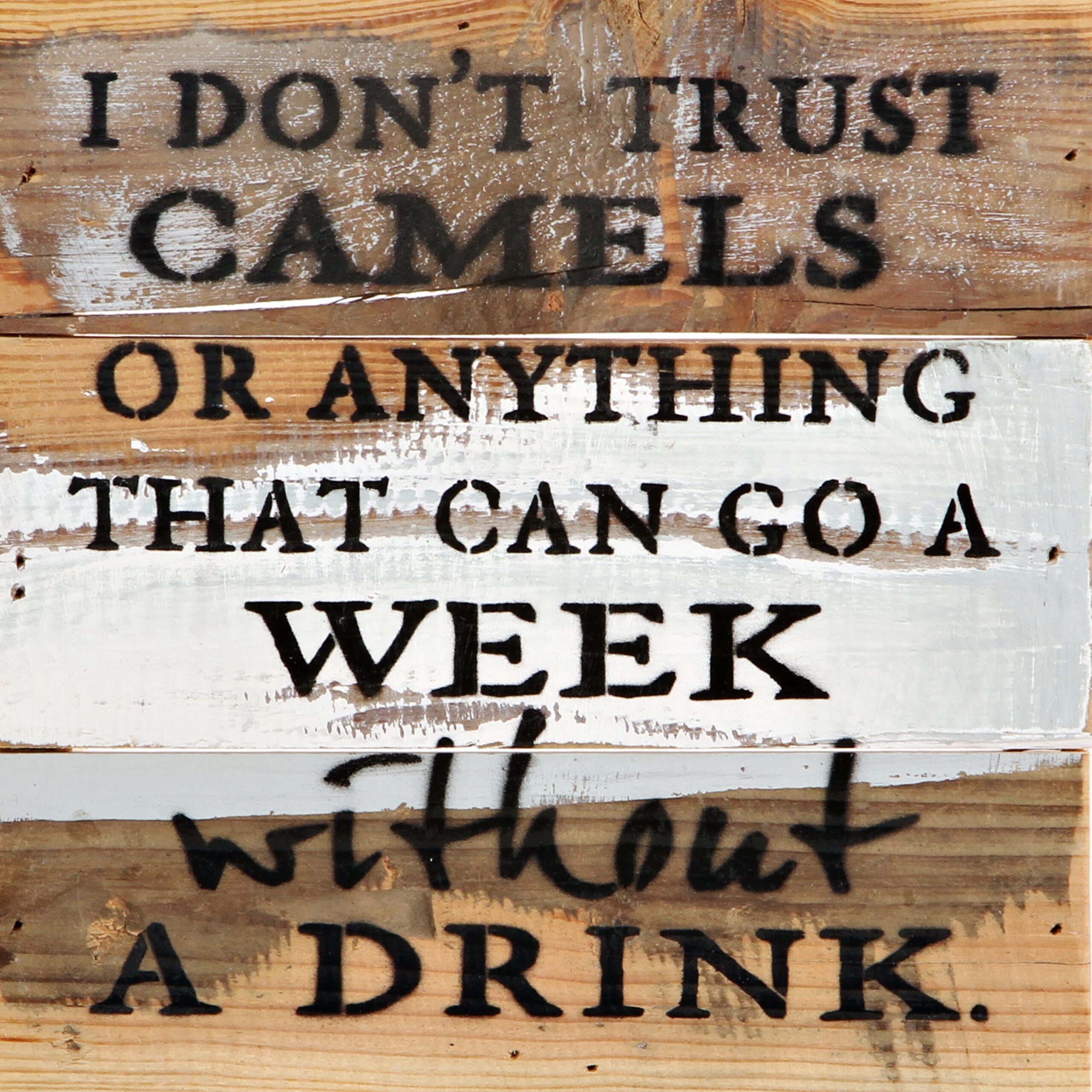 I don't trust camels or anything that can go a week without a drink / 8x8 Reclaimed Wood Wall Art