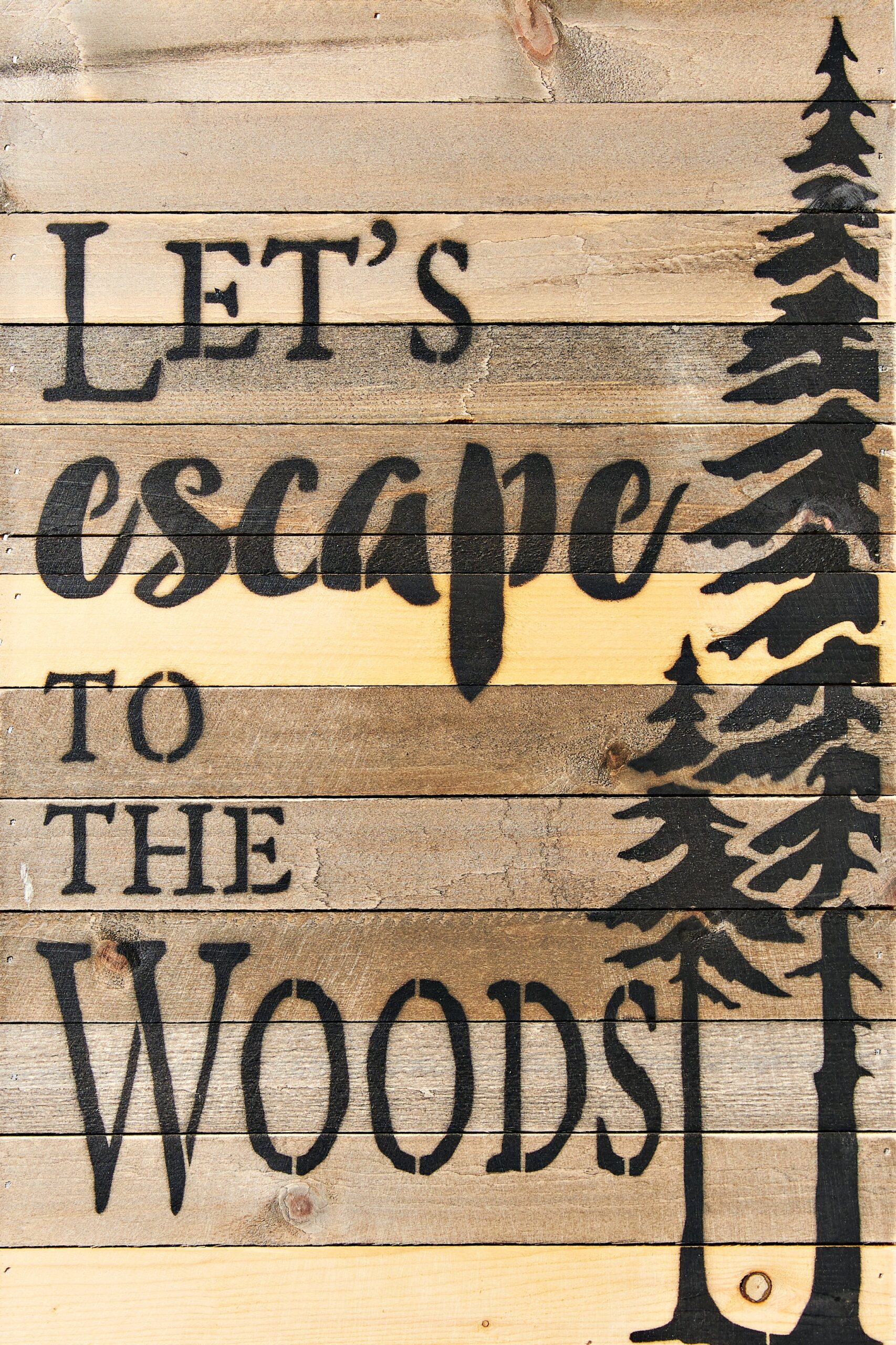 Let's escape to the woods / 12x18 Reclaimed Wood Wall Art
