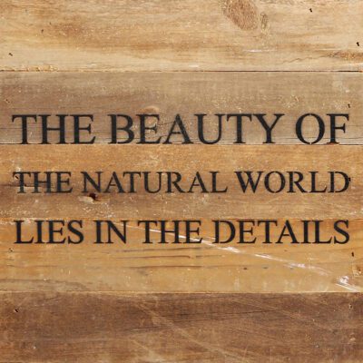 The beauty of the natural world lies in the details. / 10"x10" Reclaimed Wood Sign