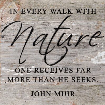 In every walk with nature one receives far more than he seeks. John Muir / 10"x10" Reclaimed Wood Sign