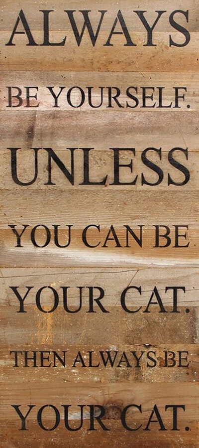 Always be yourself. Unless you can be your cat. Then always be your cat. / 12"x24" Reclaimed Wood Sign