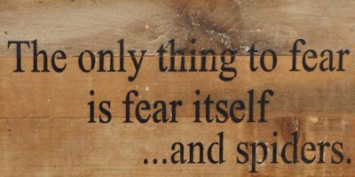 The only thing to fear is fear itself ...and spiders. / 14"x6" Reclaimed Wood Sign