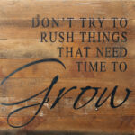 Don't try to rush things that need time to grow. / 14"x14" Reclaimed Wood Sign