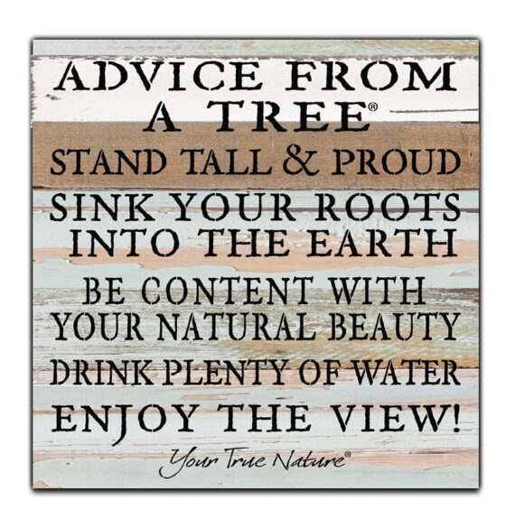 Advice from a tree: Stand tall and proud, sink your roots into the earth... enjoy the view / 12x12 Reclaimed Wood Wall Art