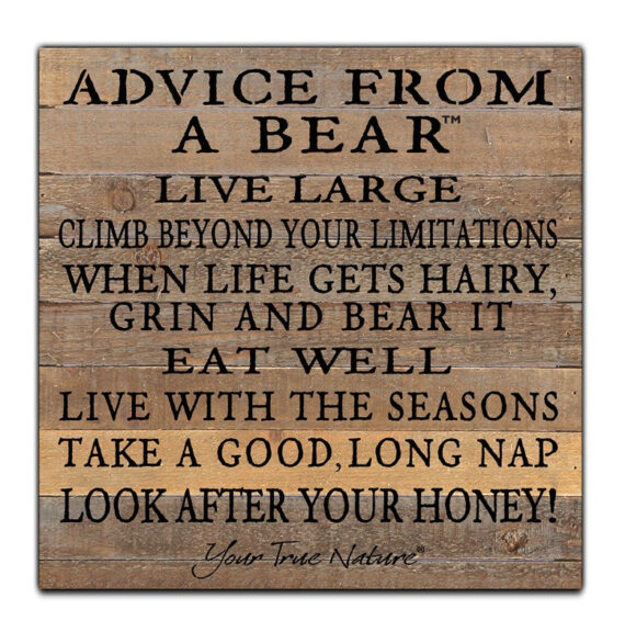 Advice From A Bear, live large, climb beyond your limitations... look after your honey / 12x12 Reclaimed Wood Wall Art