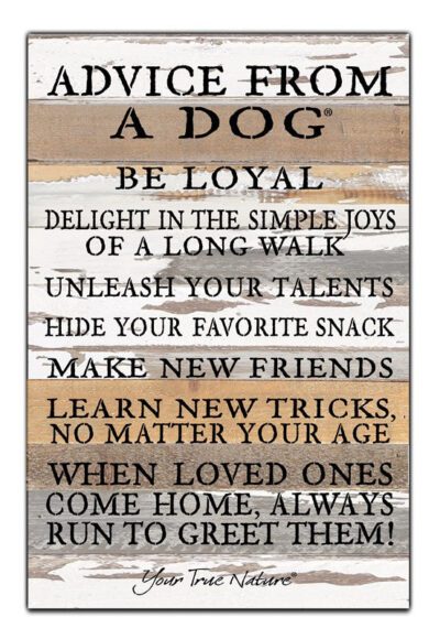 Advice from a Dog, be loyal, delight in the simples joys of a long walk... when loved ones come home, always run to greet them / 12x18 Reclaimed Wood Wall Art