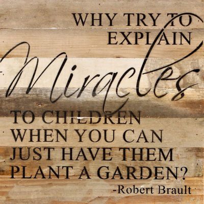 Why try to explain miracles to children when you can just have them plant a garden? Robert Brault / 14"x14" Reclaimed Wood Sign