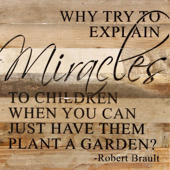 Why try to explain miracles to children when you can just have them plant a garden? Robert Brault / 14"x14" Reclaimed Wood Sign