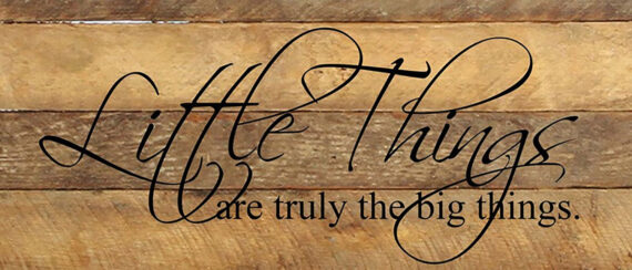 Little things are truly the big things / 14"x6" Reclaimed Wood Sign