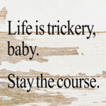 Life is trickery, baby. Stay the course. / 6"x6" Reclaimed Wood Sign