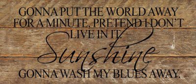 Gonna put the world away for a minute, pretend I don't live in it. Sunshine gonna wash my blues away. *Artist Series* Jeffrey Steele  / 14"x6" Reclaimed Wood Sign