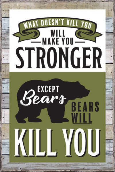 What doesn't Kill you will make you stronger except bears. Bears will kill you. 12x18 Charleston Polystyrene Wall Décor