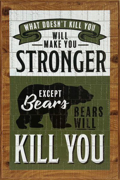 What doesn't Kill you will make you stronger except bears. Bears will kill you. 12x18 Old Forge Polystyrene Wall Décor