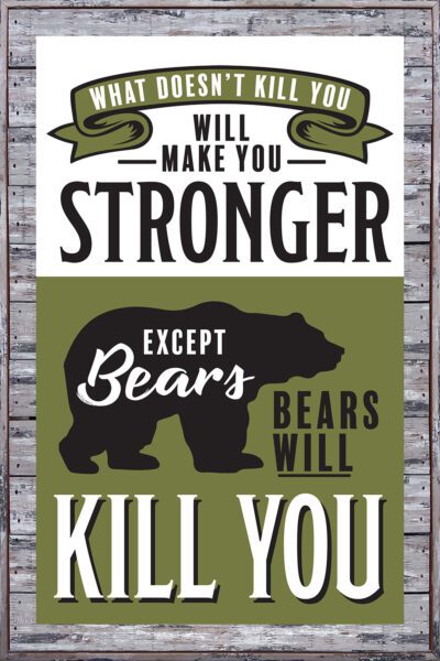 What doesn't Kill you will make you stronger except bears. Bears will kill you. 12x18 Sandpiper Polystyrene Wall Décor
