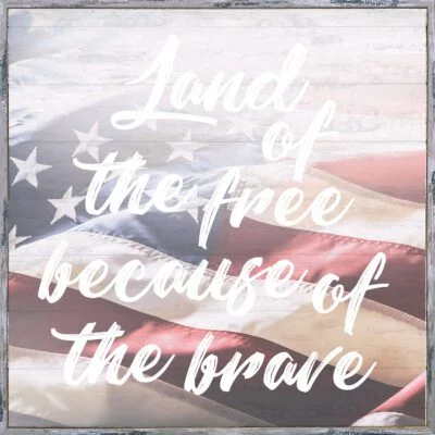 Land of the Free because of the brave  12x12 Sandpiper Polystyrene Wall Décor